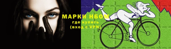 ПСИЛОЦИБИНОВЫЕ ГРИБЫ Алексеевка